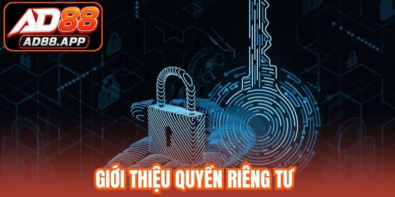 Giới thiệu quyền riêng tư 